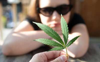 L’usage du cannabis par les mineurs : entre répression et prévention. Le rôle essentiel des Maisons de Jeunes